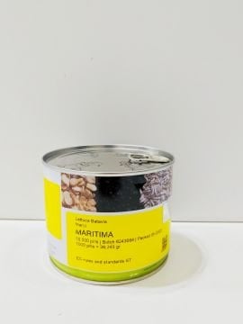 Maritima Kıvırcık Marul Tohumu 1 Kutu- 10000 ADET