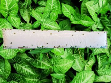 Cocopeat Çilek Yetişirme Ortamı  11 Gözlü 1 Metre