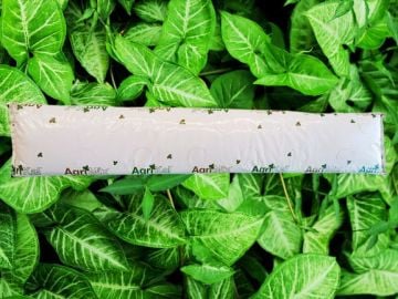 Cocopeat Çilek Yetişirme Ortamı  11 Gözlü 1 Metre
