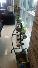 MİNİ HOBİ SETİ- Hidroponik