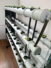 JUMBO HOBİ SETİ- Hidroponik