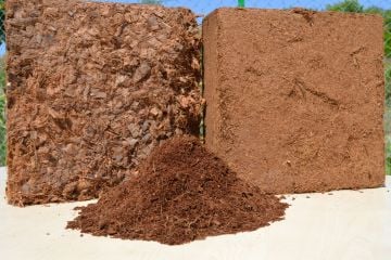 Blok Cocopeat 5-6 KG (2024 Seri)
