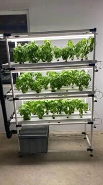 Bitki Yetiştirme LED'i 120 CM