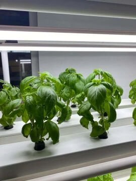 Bitki Yetiştirme LED'i 120 CM