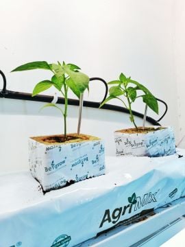 Mikro  Ok Kazık Damlatıcı 5MM