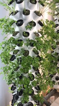 Dikey Bitki Üretim Kulesi 5 Katlı-40 GÖZLÜ - Topraksız Tarım