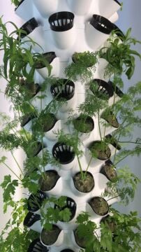 Dikey Bitki Üretim Kulesi 10 Katlı-80 GÖZLÜ - Topraksız Tarım