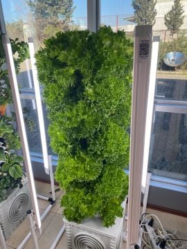 Dikey Bitki Üretim Kulesi 15 Katlı-120 GÖZLÜ