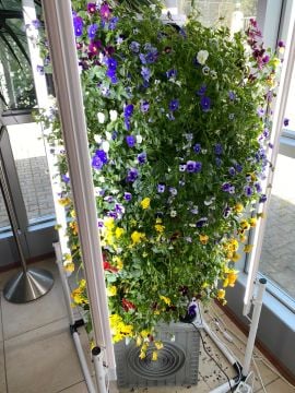 Dikey Bitki Üretim Kulesi 15 Katlı-120 GÖZLÜ