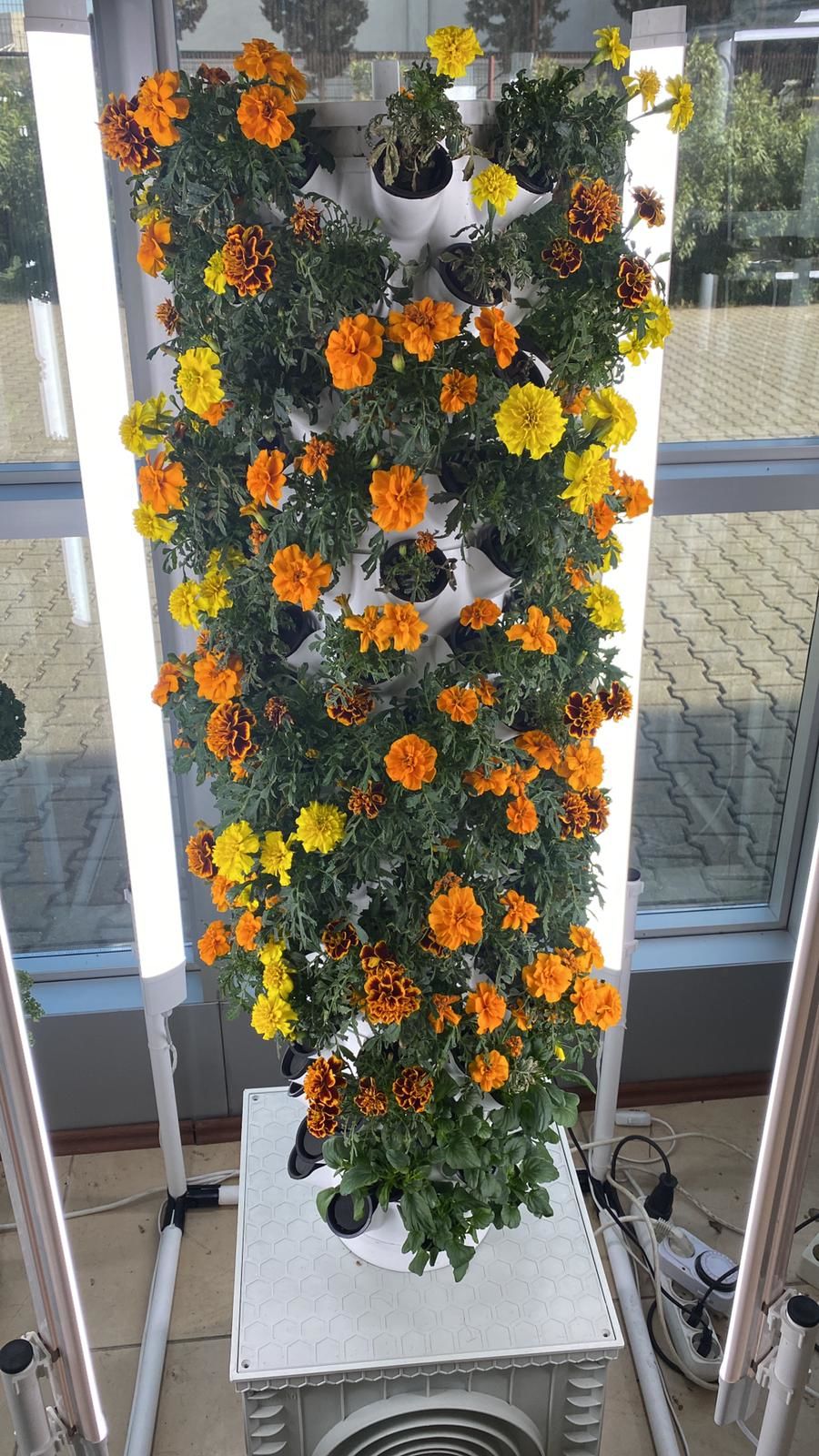 Dikey Bitki Üretim Kulesi 15 Katlı-120 GÖZLÜ