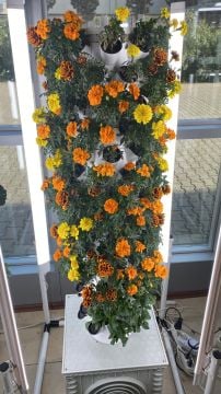 Dikey Bitki Üretim Kulesi 15 Katlı-120 GÖZLÜ