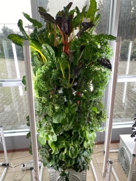 Dikey Bitki Üretim Kulesi 15 Katlı-120 GÖZLÜ