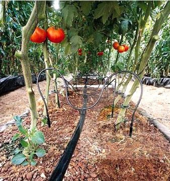 5mm Cocopeat ve Saksı Sulama Mikro Kazık Aparat Seti