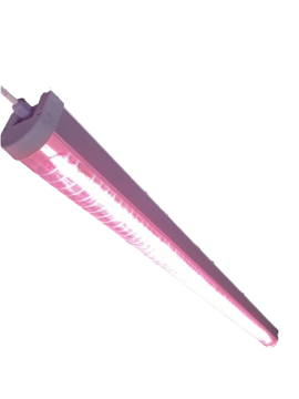 Growlight Bitki Büyütme Ledi Quantum Serisi Çiçekli Bitkiler - 1 Metre