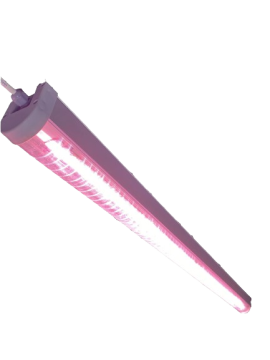 Growlight Bitki Büyütme Ledi Quantum Serisi Çiçekli Bitkiler - 1 Metre