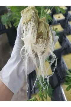 KAYAYÜNÜ LEVHA 25x25x40mm 25-50-100-200 GÖZLÜ