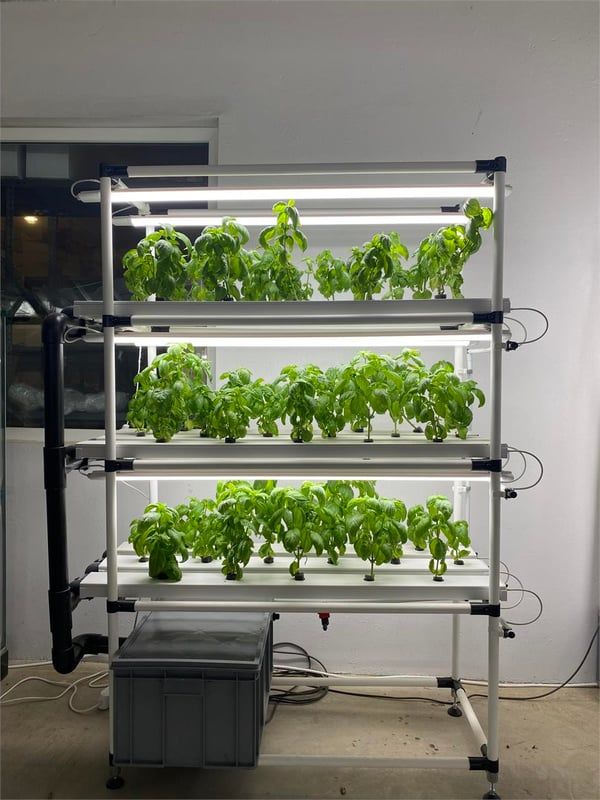 DİKEY TARIM LEDLİ TOPRAKSIZ TARIM HOBİ SİSTEMİ (KARGO DAHİL)