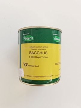 AG Bacchus Kırmızı Kıvırcık Lolorosso 1 Kutux5000 Adet Kaplı Tohum