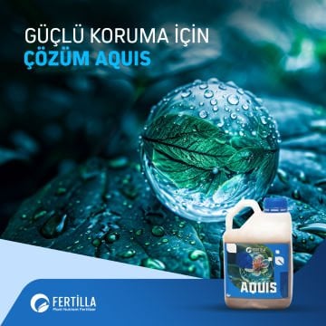AQUİS- YÜKSEK PERFORMANS