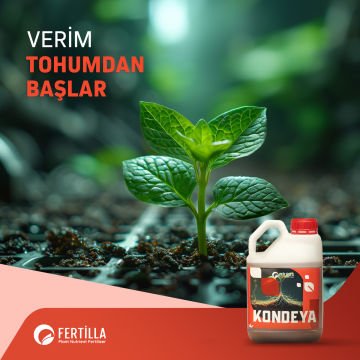Kondeya Bitki Besleme