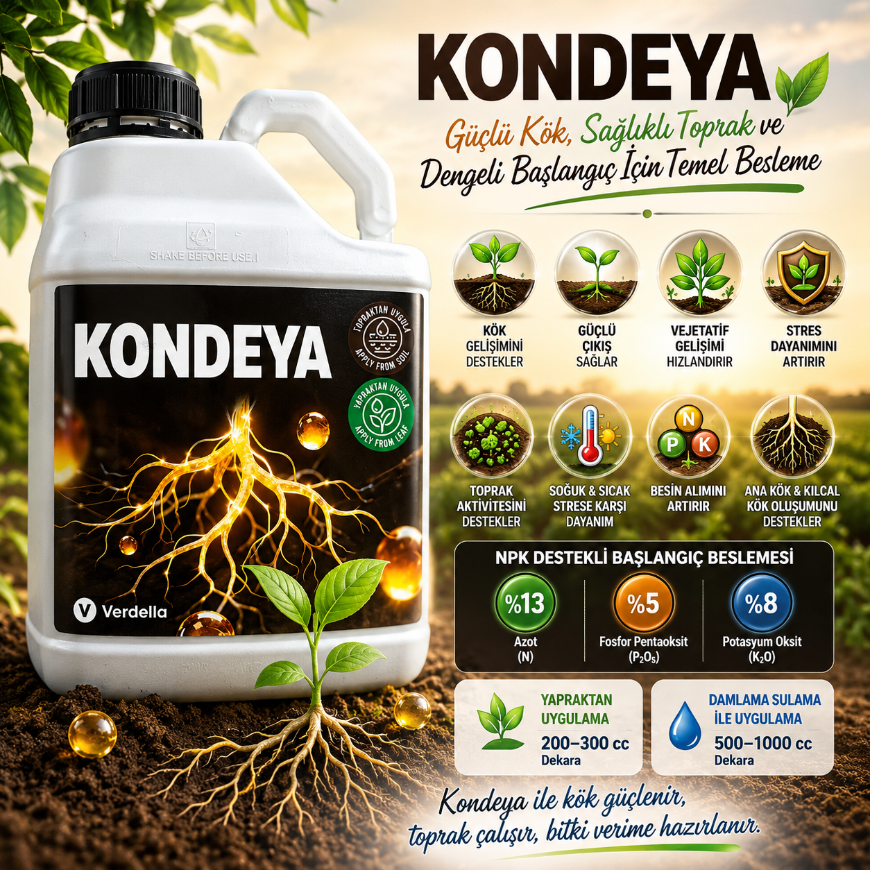 KONDEYA Güçlü Kök Gelişimi ve Sağlam Başlangıç Desteği 5 LT/6KG