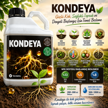 KONDEYA Güçlü Kök Gelişimi ve Sağlam Başlangıç Desteği 5 LT/6KG