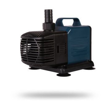 Su Motoru Wp 5500 LT/H