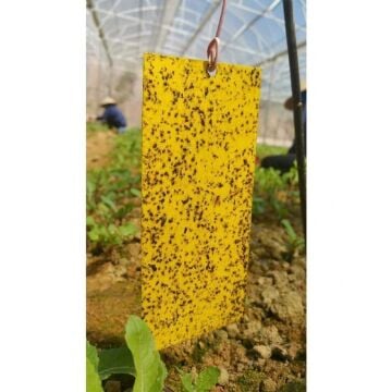 Sera Ve Bahçe İçin Sarı Yapışkan Levha Tuzak - Yapışkan Sinek Tuzağı - 20 Cm X 10 Cm - 10 Adet