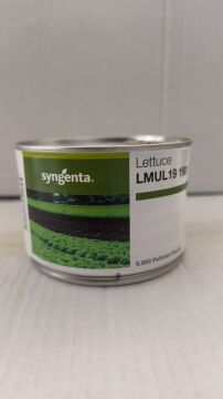 Yeşil Endivyen(Verdagio) Marul Tohumu