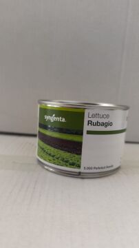 Kırmızı Gül(Rubagio) Marul Tohumu
