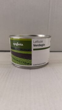 Çıtır Marul(LMUL) Tohumu