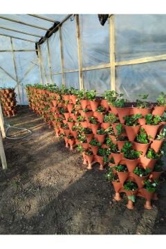 Dikey Tarla- Toprak-Torf- Cocopeat  Kule Saksı(42 Göz)