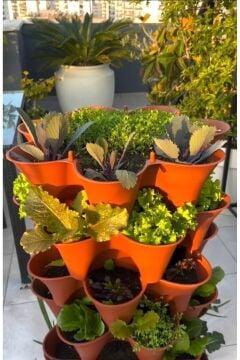 Dikey Tarla- Toprak-Torf- Cocopeat  Kule Saksı(42 Göz)