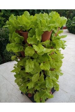 Dikey Tarla- Toprak-Torf- Cocopeat  Kule Saksı(42 Göz)