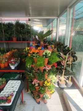 Dikey Tarla- Topraklı/Topraksız Bitki Üretim Kulesi